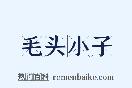 毛头小子是什么意思的图片